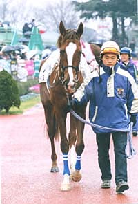 2000.2.20.03.KS.JPG