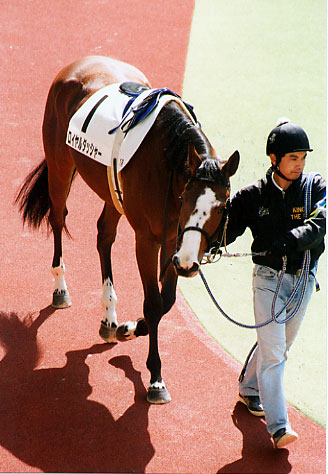 dasher02.jpg