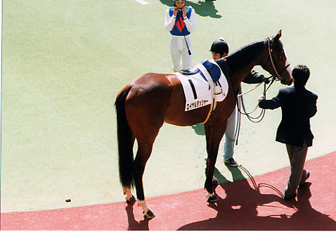 dasher03.jpg
