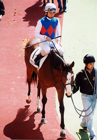 dasher04.jpg