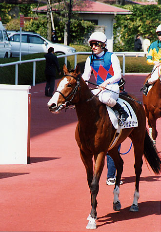 dasher05.jpg