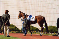 dasher07s.jpg