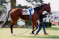 dasher09s.jpg